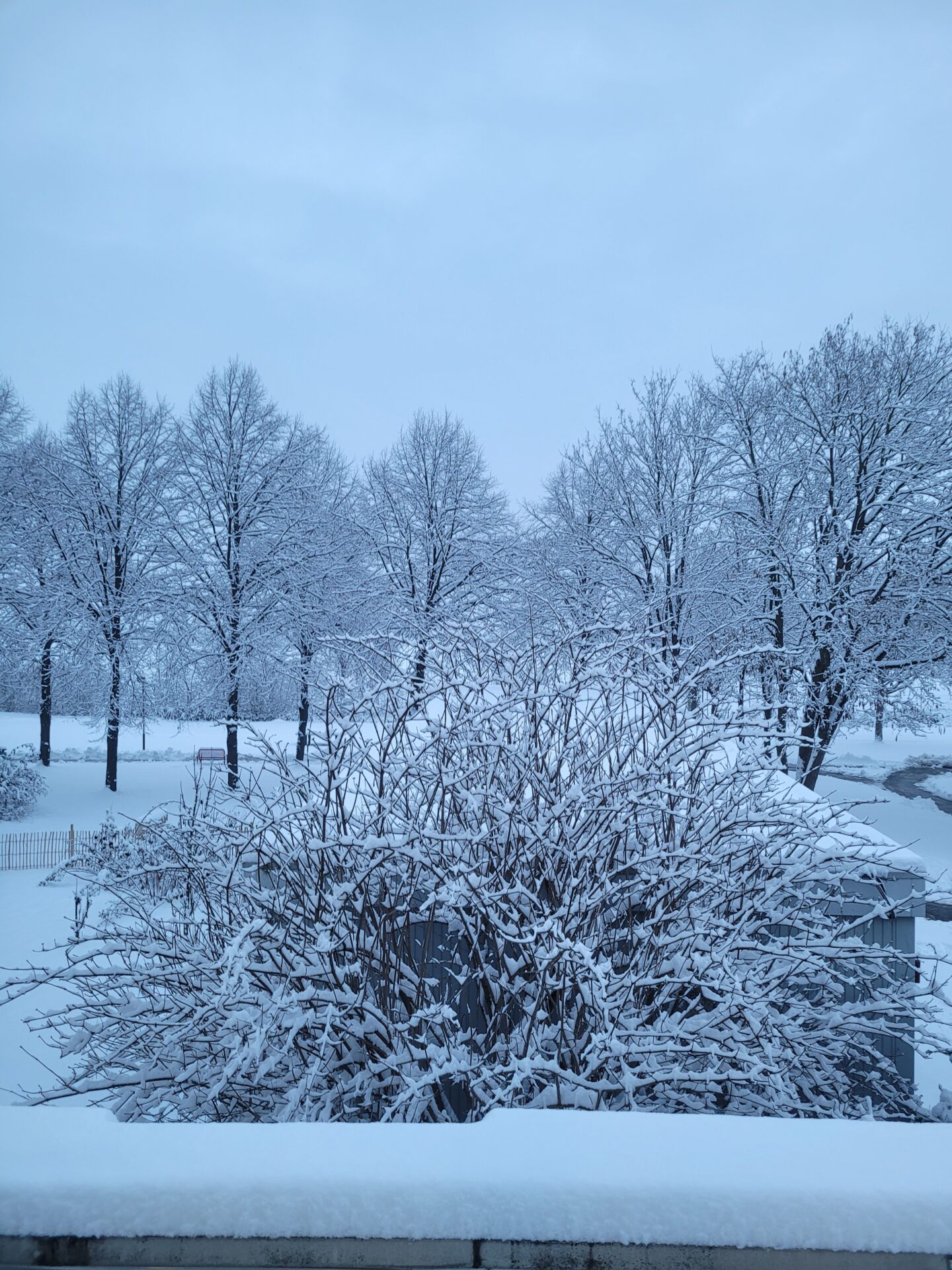 Winter an der Realschule